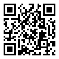 flash游戏播放器