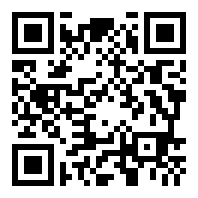 侠盗无双v1.07